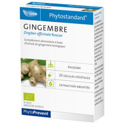 PhytoStandard GINGEMBRE - 20 gélules - PHARMACIE VERTE - Herboristerie à Nantes depuis 1942 - Plantes en Vrac - Tisane - EPS - B