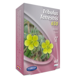 TRIBULUS Terrestris 650 - 60 gélules - PHARMACIE VERTE - Herboristerie à Nantes depuis 1942 - Plantes en Vrac - Tisane - EPS - B