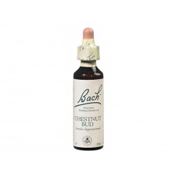 Fleur de Bach CHESTNUT BUD - 20ml - PHARMACIE VERTE - Herboristerie à Nantes depuis 1942 - Plantes en Vrac - Tisane - EPS - Bour