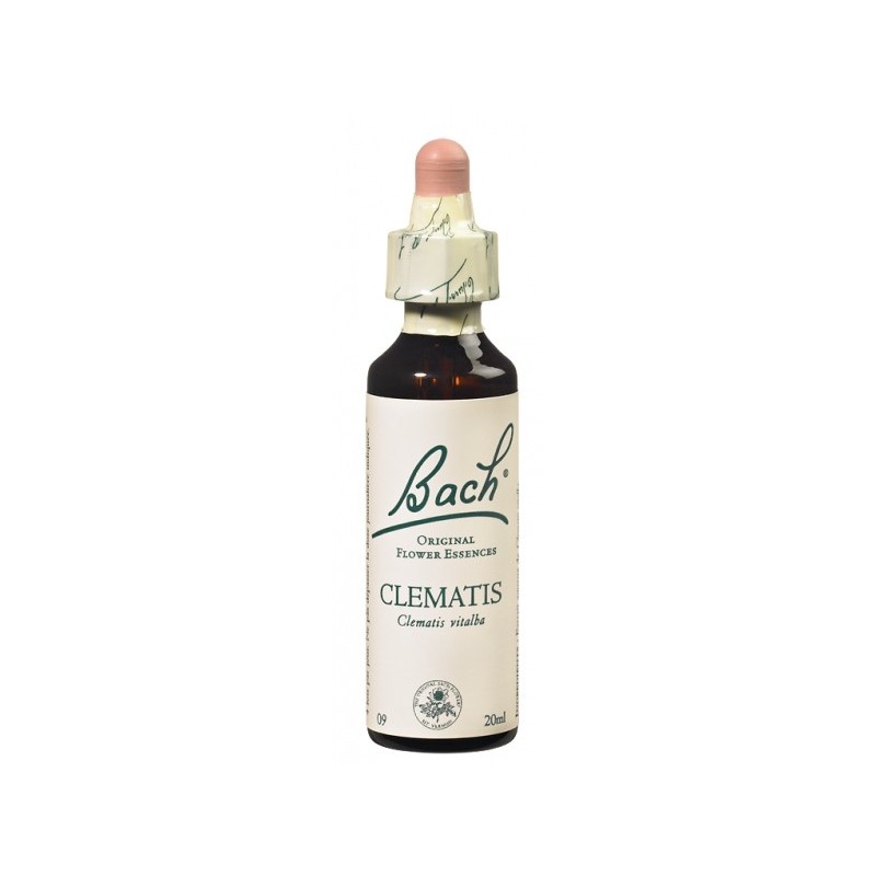 Fleur de Bach CLEMATIS - 20ml - PHARMACIE VERTE - Herboristerie à Nantes depuis 1942 - Plantes en Vrac - Tisane - EPS - Bourgeon Fleur de Bach CLEMATIS - 20ml - PHARMACIE VERTE - Herboristerie à Nantes depuis 1942 - Plantes en Vrac - Tisane - EPS - Bourgeon