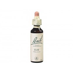 Fleur de Bach ELM - 20ml - PHARMACIE VERTE - Herboristerie à Nantes depuis 1942 - Plantes en Vrac - Tisane - EPS - Bourgeon - My