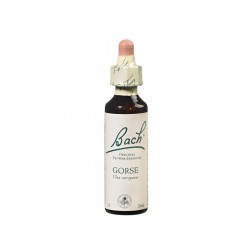 Fleur de Bach GENTIAN - 20ml - PHARMACIE VERTE - Herboristerie à Nantes depuis 1942 - Plantes en Vrac - Tisane - EPS - Bourgeon 