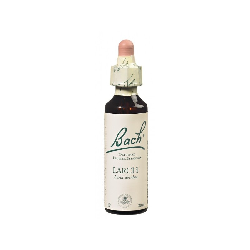 Fleur de Bach LARCH - 20ml - PHARMACIE VERTE - Herboristerie à Nantes depuis 1942 - Plantes en Vrac - Tisane - EPS - Bourgeon - Fleur de Bach LARCH - 20ml - PHARMACIE VERTE - Herboristerie à Nantes depuis 1942 - Plantes en Vrac - Tisane - EPS - Bourgeon -