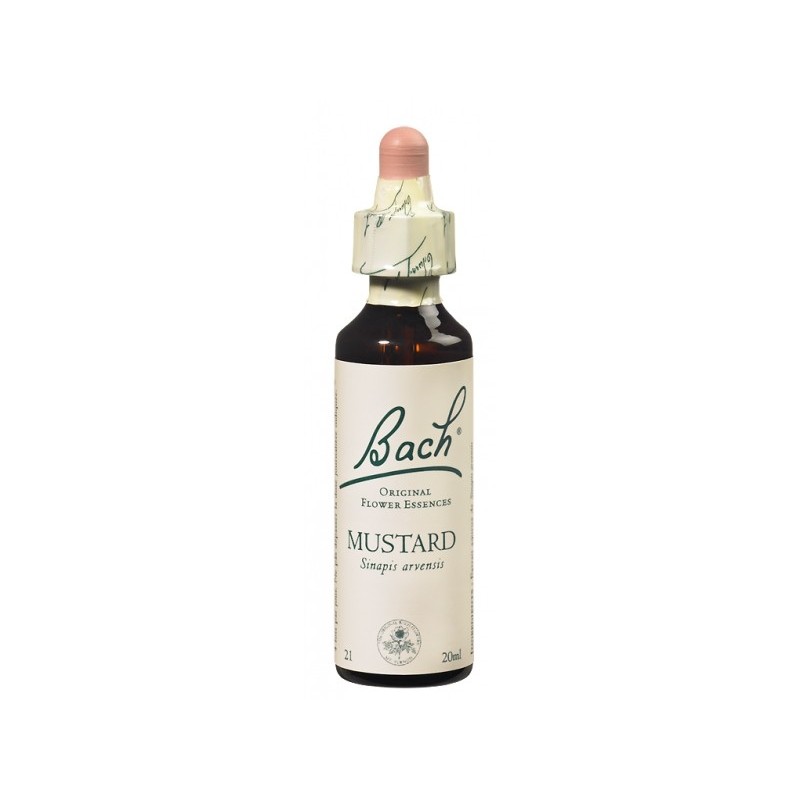 Fleur de Bach MUSTARD - 20ml - PHARMACIE VERTE - Herboristerie à Nantes depuis 1942 - Plantes en Vrac - Tisane - EPS - Bourgeon 