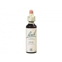 Fleur de Bach PINE - 20ml - PHARMACIE VERTE - Herboristerie à Nantes depuis 1942 - Plantes en Vrac - Tisane - EPS - Bourgeon - M