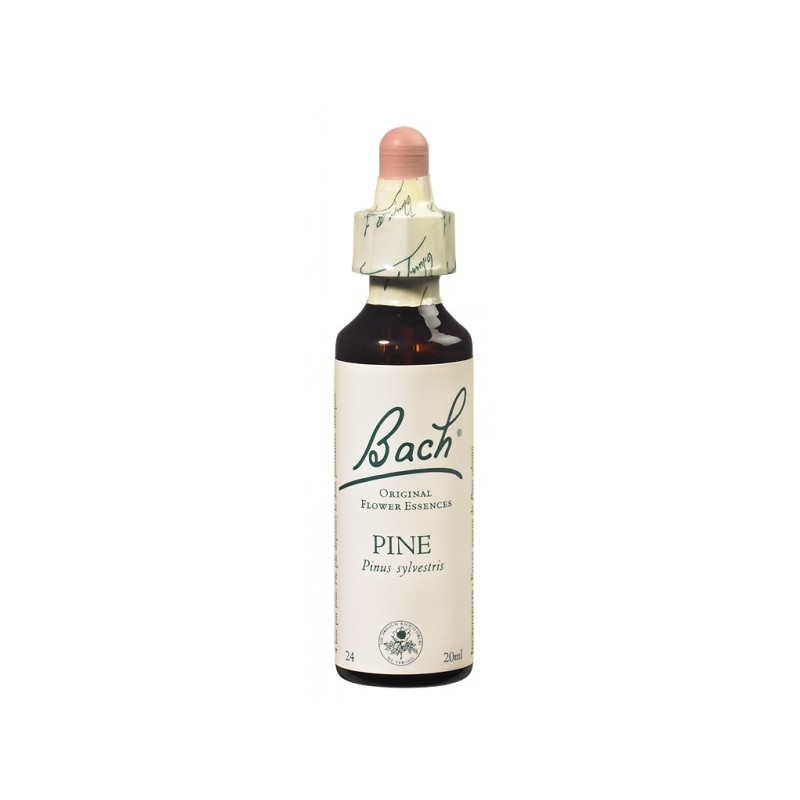 Fleur de Bach PINE - 20ml - PHARMACIE VERTE - Herboristerie à Nantes depuis 1942 - Plantes en Vrac - Tisane - EPS - Bourgeon - M