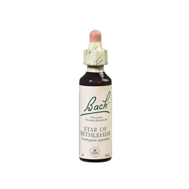 Fleur de Bach STAR Of BETHLEHEM - 20ml - PHARMACIE VERTE - Herboristerie à Nantes depuis 1942 - Plantes en Vrac - Tisane - EPS - Fleur de Bach STAR Of BETHLEHEM - 20ml - PHARMACIE VERTE - Herboristerie à Nantes depuis 1942 - Plantes en Vrac - Tisane - EPS -