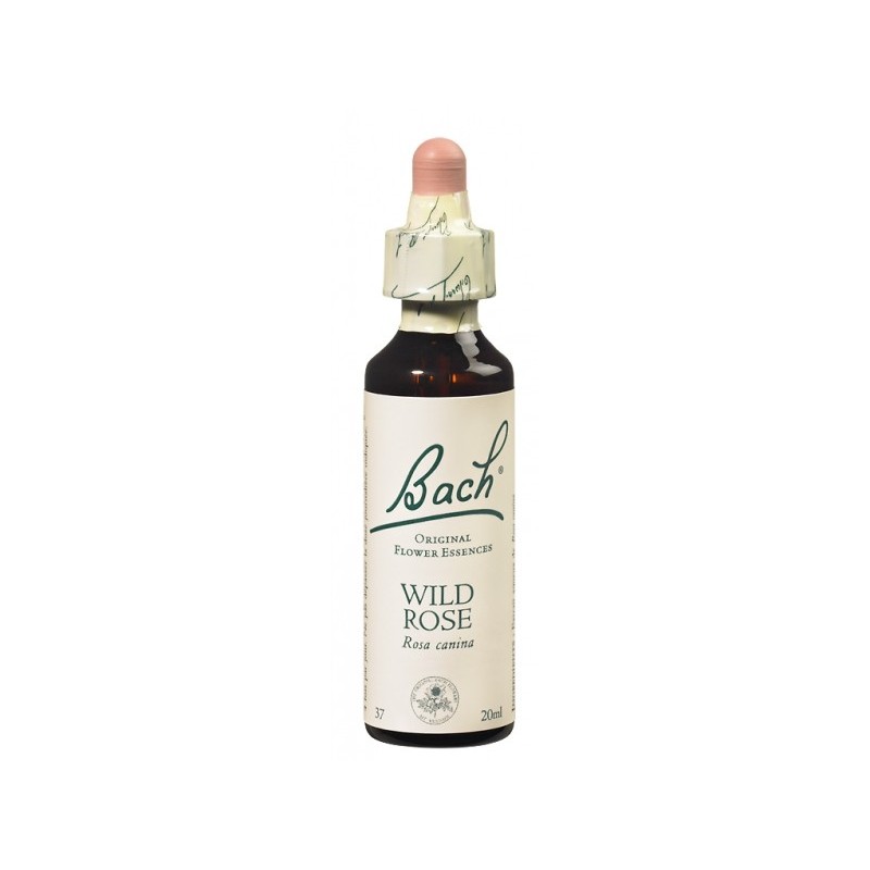 Fleur de Bach WILD ROSE - 20ml - PHARMACIE VERTE - Herboristerie à Nantes depuis 1942 - Plantes en Vrac - Tisane - EPS - Bourgeo