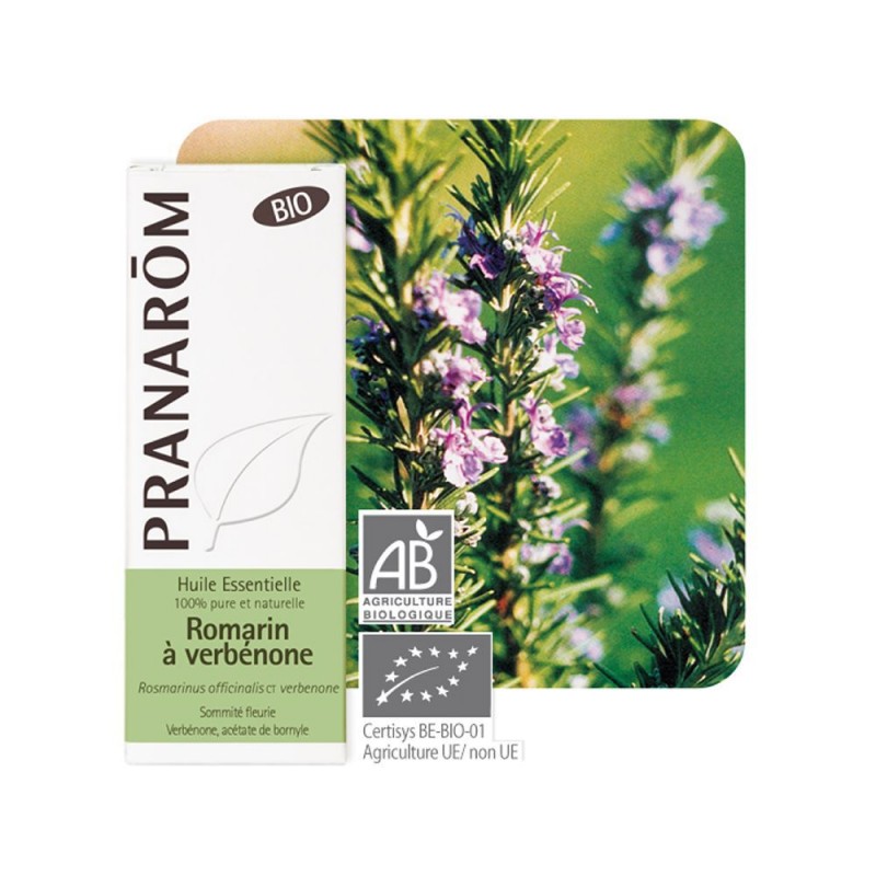 Romarin à Verbénone Bio HE - 5ml - PHARMACIE VERTE - Herboristerie à Nantes depuis 1942 - Plantes en Vrac - Tisane - EPS - Bourg Romarin à Verbénone Bio HE - 5ml - PHARMACIE VERTE - Herboristerie à Nantes depuis 1942 - Plantes en Vrac - Tisane - EPS - Bourg