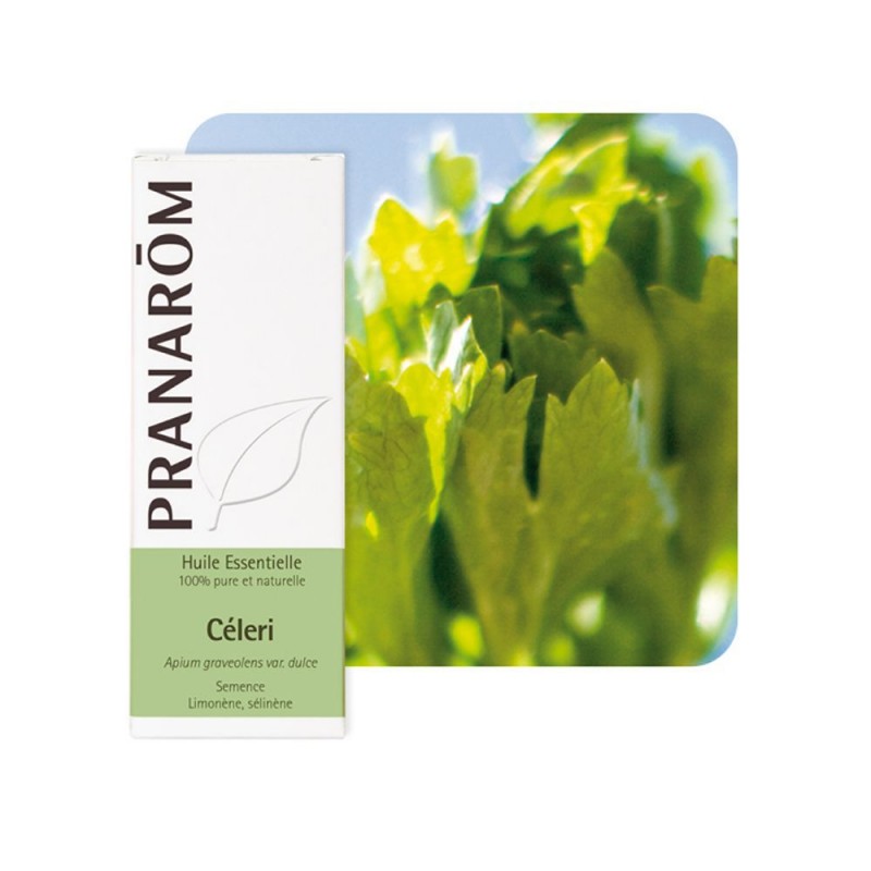 Céleri Semence HE - 10ml - PHARMACIE VERTE - Herboristerie à Nantes depuis 1942 - Plantes en Vrac - Tisane - EPS - Bourgeon - My Céleri Semence HE - 10ml - PHARMACIE VERTE - Herboristerie à Nantes depuis 1942 - Plantes en Vrac - Tisane - EPS - Bourgeon - My
