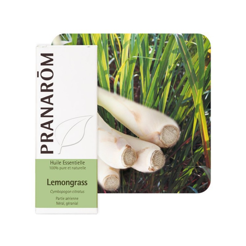 Lemongrass HE - 10ml - PHARMACIE VERTE - Herboristerie à Nantes depuis 1942 - Plantes en Vrac - Tisane - EPS - Bourgeon - Mycoth