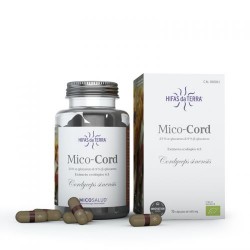 Mico Cord Micosalud - 70 capsules - PHARMACIE VERTE - Herboristerie à Nantes depuis 1942 - Plantes en Vrac - Tisane - EPS - Bour