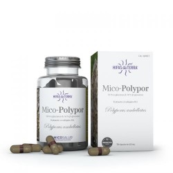 Mico Polypor Micosalud - 70 capsules - PHARMACIE VERTE - Herboristerie à Nantes depuis 1942 - Plantes en Vrac - Tisane - EPS - B