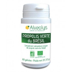Propolis verte du Brésil Bio - 60 gélules - PHARMACIE VERTE - Herboristerie à Nantes depuis 1942 - Plantes en Vrac - Tisane - EP