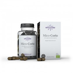 Mico Corio Micosalud - 70 capsules - PHARMACIE VERTE - Herboristerie à Nantes depuis 1942 - Plantes en Vrac - Tisane - EPS - Bou