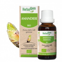 HERBALGEM AMANDIER Bourgeon - 30ml - PHARMACIE VERTE - Herboristerie à Nantes depuis 1942 - Plantes en Vrac - Tisane - EPS - Bou