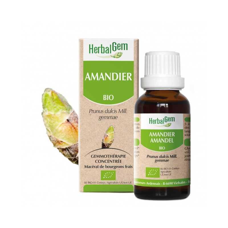 HERBALGEM AMANDIER Bourgeon - 30ml - PHARMACIE VERTE - Herboristerie à Nantes depuis 1942 - Plantes en Vrac - Tisane - EPS - Bou