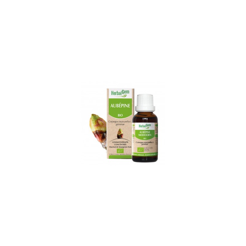 HERBALGEM AUBEPINE Bourgeon - 30ml - PHARMACIE VERTE - Herboristerie à Nantes depuis 1942 - Plantes en Vrac - Tisane - EPS - Bou HERBALGEM AUBEPINE Bourgeon - 30ml - PHARMACIE VERTE - Herboristerie à Nantes depuis 1942 - Plantes en Vrac - Tisane - EPS - Bou
