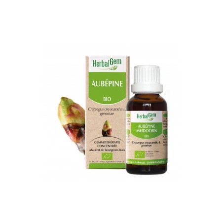 HERBALGEM AUBEPINE Bourgeon - 30ml - PHARMACIE VERTE - Herboristerie à Nantes depuis 1942 - Plantes en Vrac - Tisane - EPS - Bou