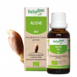 HERBALGEM AULNE Bourgeon - 30ml - PHARMACIE VERTE - Herboristerie à Nantes depuis 1942 - Plantes en Vrac - Tisane - EPS - Bourge