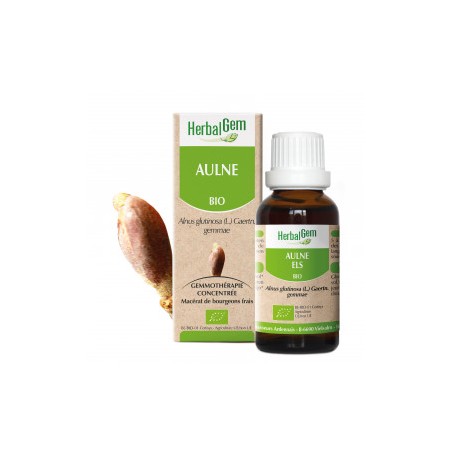 HERBALGEM AULNE Bourgeon - 30ml - PHARMACIE VERTE - Herboristerie à Nantes depuis 1942 - Plantes en Vrac - Tisane - EPS - Bourge
