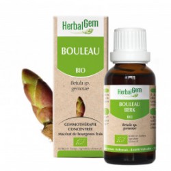 HERBALGEM BOULEAU Bourgeon - 30ml - PHARMACIE VERTE - Herboristerie à Nantes depuis 1942 - Plantes en Vrac - Tisane - EPS - Bour