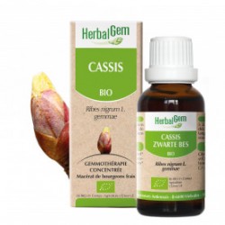 HERBALGEM CASSIS Bourgeon - 30ml - PHARMACIE VERTE - Herboristerie à Nantes depuis 1942 - Plantes en Vrac - Tisane - EPS - Bourg