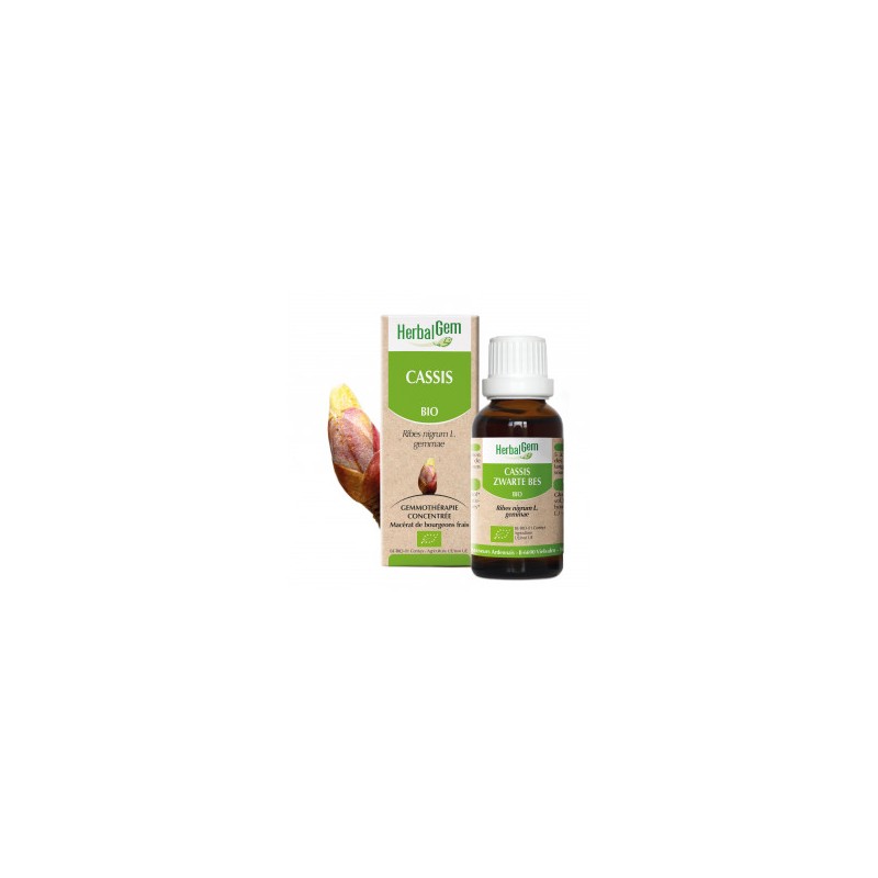 HERBALGEM CASSIS Bourgeon - 30ml - PHARMACIE VERTE - Herboristerie à Nantes depuis 1942 - Plantes en Vrac - Tisane - EPS - Bourg HERBALGEM CASSIS Bourgeon - 30ml - PHARMACIE VERTE - Herboristerie à Nantes depuis 1942 - Plantes en Vrac - Tisane - EPS - Bourg