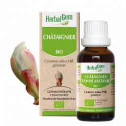 HERBALGEM CHATAIGNIER - 30ml - PHARMACIE VERTE - Herboristerie à Nantes depuis 1942 - Plantes en Vrac - Tisane - EPS - Bourgeon