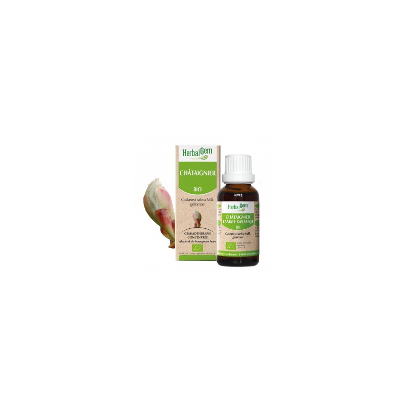 HERBALGEM CHATAIGNIER - 30ml - PHARMACIE VERTE - Herboristerie à Nantes depuis 1942 - Plantes en Vrac - Tisane - EPS - Bourgeon HERBALGEM CHATAIGNIER - 30ml - PHARMACIE VERTE - Herboristerie à Nantes depuis 1942 - Plantes en Vrac - Tisane - EPS - Bourgeon
