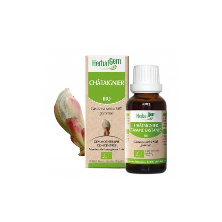 HERBALGEM CHATAIGNIER - 30ml - PHARMACIE VERTE - Herboristerie à Nantes depuis 1942 - Plantes en Vrac - Tisane - EPS - Bourgeon 