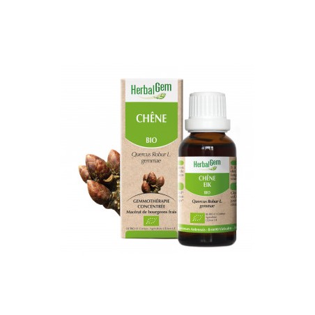 HERBALGEM CHENE - 30ml - PHARMACIE VERTE - Herboristerie à Nantes depuis 1942 - Plantes en Vrac - Tisane - EPS - Bourgeon - Myco