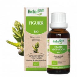 HERBALGEM FIGUIER - 30ml - PHARMACIE VERTE - Herboristerie à Nantes depuis 1942 - Plantes en Vrac - Tisane - EPS - Bourgeon - My