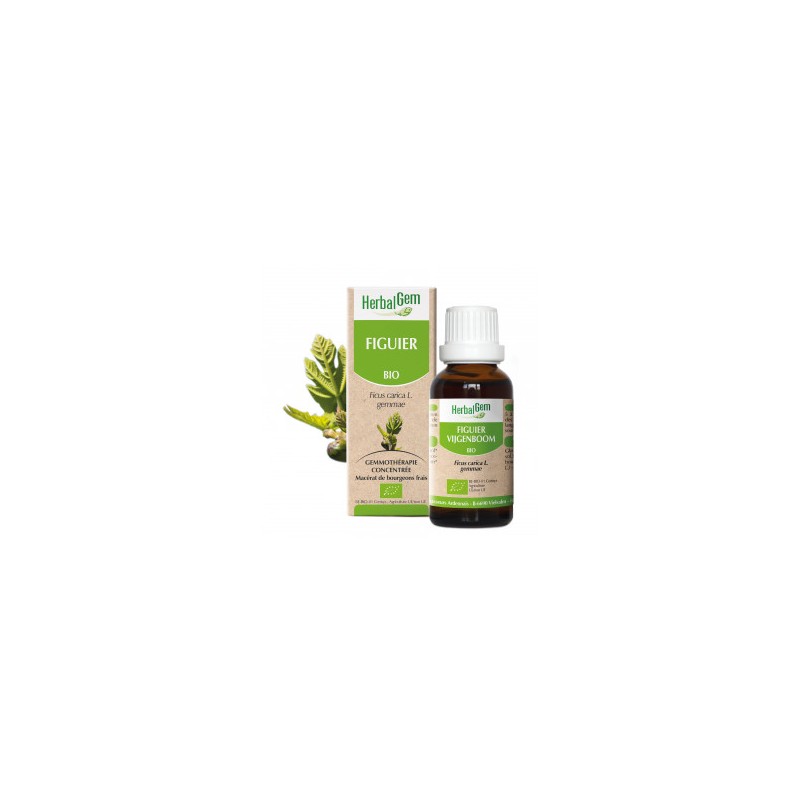 HERBALGEM FIGUIER - 30ml - PHARMACIE VERTE - Herboristerie à Nantes depuis 1942 - Plantes en Vrac - Tisane - EPS - Bourgeon - My