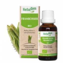 HERBALGEM FRAMBOISIER - 30ml - PHARMACIE VERTE - Herboristerie à Nantes depuis 1942 - Plantes en Vrac - Tisane - EPS - Bourgeon 