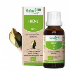 HERBALGEM FRENE - 30ml - PHARMACIE VERTE - Herboristerie à Nantes depuis 1942 - Plantes en Vrac - Tisane - EPS - Bourgeon - Myco