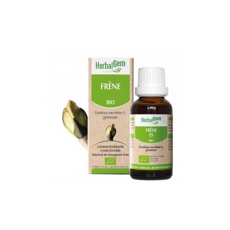 HERBALGEM FRENE - 30ml - PHARMACIE VERTE - Herboristerie à Nantes depuis 1942 - Plantes en Vrac - Tisane - EPS - Bourgeon - Myco