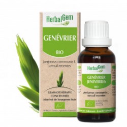 HERBALGEM GENEVRIER - 30ml - PHARMACIE VERTE - Herboristerie à Nantes depuis 1942 - Plantes en Vrac - Tisane - EPS - Bourgeon - 