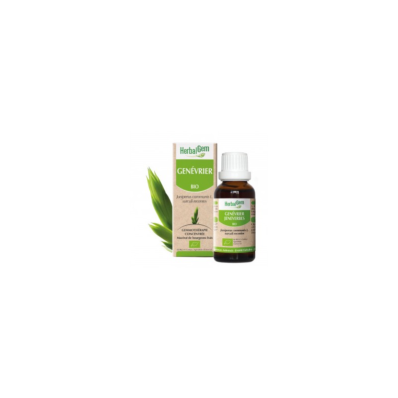 HERBALGEM GENEVRIER - 30ml - PHARMACIE VERTE - Herboristerie à Nantes depuis 1942 - Plantes en Vrac - Tisane - EPS - Homéopathie HERBALGEM GENEVRIER - 30ml - PHARMACIE VERTE - Herboristerie à Nantes depuis 1942 - Plantes en Vrac - Tisane - EPS - Homéopathie