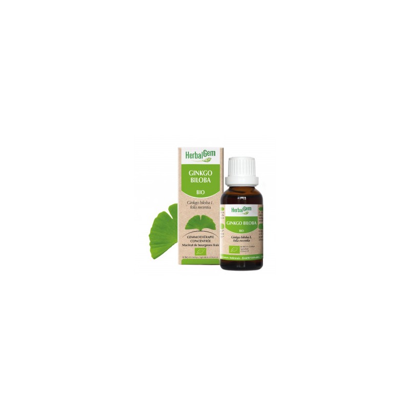 HERBALGEM GINKGO - 30ml - PHARMACIE VERTE - Herboristerie à Nantes depuis 1942 - Plantes en Vrac - Tisane - EPS - Bourgeon - Myc