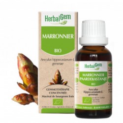 HERBALGEM MARRONNIER - 30ml - PHARMACIE VERTE - Herboristerie à Nantes depuis 1942 - Plantes en Vrac - Tisane - EPS - Bourgeon -