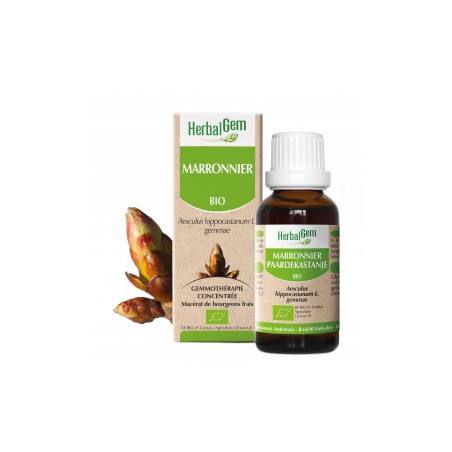 HERBALGEM MARRONNIER - 30ml - PHARMACIE VERTE - Herboristerie à Nantes depuis 1942 - Plantes en Vrac - Tisane - EPS - Bourgeon -