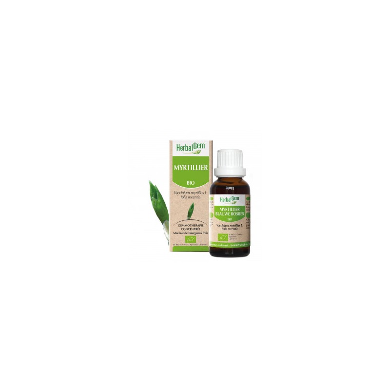 HERBALGEM MYRTILLIER - 30ml - PHARMACIE VERTE - Herboristerie à Nantes depuis 1942 - Plantes en Vrac - Tisane - EPS - Bourgeon - HERBALGEM MYRTILLIER - 30ml - PHARMACIE VERTE - Herboristerie à Nantes depuis 1942 - Plantes en Vrac - Tisane - EPS - Bourgeon -