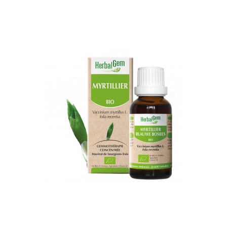 HERBALGEM MYRTILLIER - 30ml - PHARMACIE VERTE - Herboristerie à Nantes depuis 1942 - Plantes en Vrac - Tisane - EPS - Bourgeon -