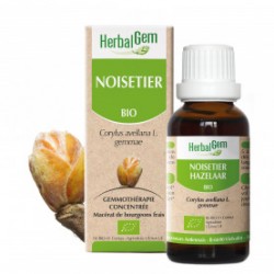 HERBALGEM NOISETIER - 30ml - PHARMACIE VERTE - Herboristerie à Nantes depuis 1942 - Plantes en Vrac - Tisane - EPS - Bourgeon - 