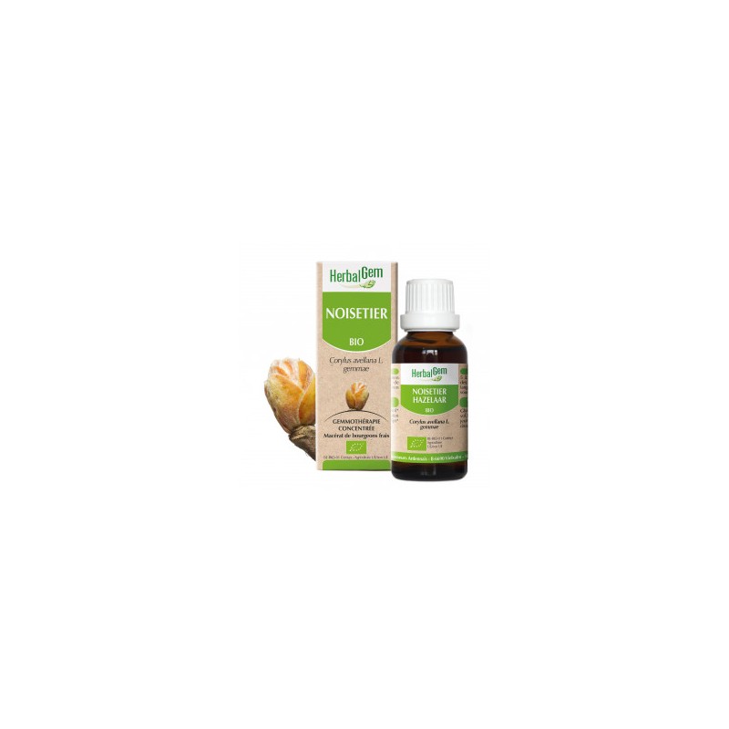 HERBALGEM NOISETIER - 30ml - PHARMACIE VERTE - Herboristerie à Nantes depuis 1942 - Plantes en Vrac - Tisane - EPS - Bourgeon - HERBALGEM NOISETIER - 30ml - PHARMACIE VERTE - Herboristerie à Nantes depuis 1942 - Plantes en Vrac - Tisane - EPS - Bourgeon -