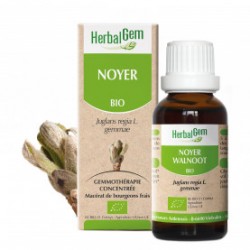 HERBALGEM NOYER - 30ml - PHARMACIE VERTE - Herboristerie à Nantes depuis 1942 - Plantes en Vrac - Tisane - EPS - Bourgeon - Myco