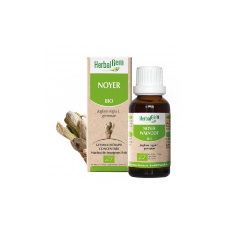 HERBALGEM NOYER - 30ml - PHARMACIE VERTE - Herboristerie à Nantes depuis 1942 - Plantes en Vrac - Tisane - EPS - Bourgeon - Myco