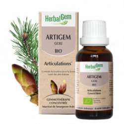 HERBALGEM ARTIGEM - 30ml - PHARMACIE VERTE - Herboristerie à Nantes depuis 1942 - Plantes en Vrac - Tisane - EPS - Bourgeon - My