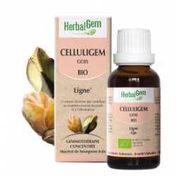 HERBALGEM CELLULIGEM - 30ml - PHARMACIE VERTE - Herboristerie à Nantes depuis 1942 - Plantes en Vrac - Tisane - EPS - Bourgeon -